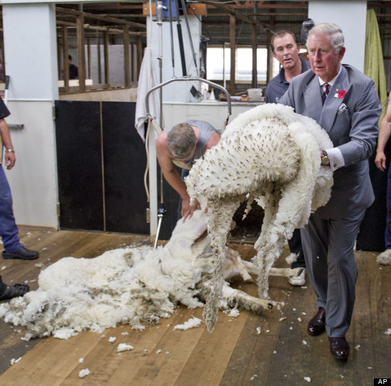 prince charles