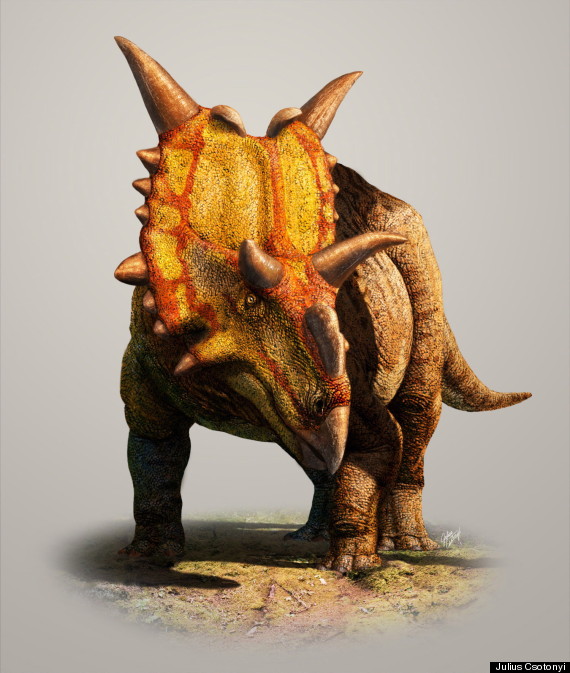 xenoceratops dinosaur alberta