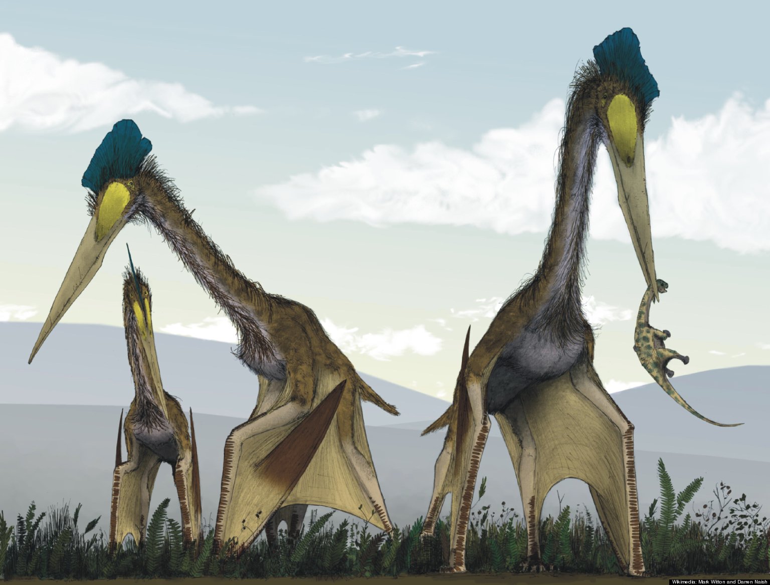 largest flying dinosaur birds