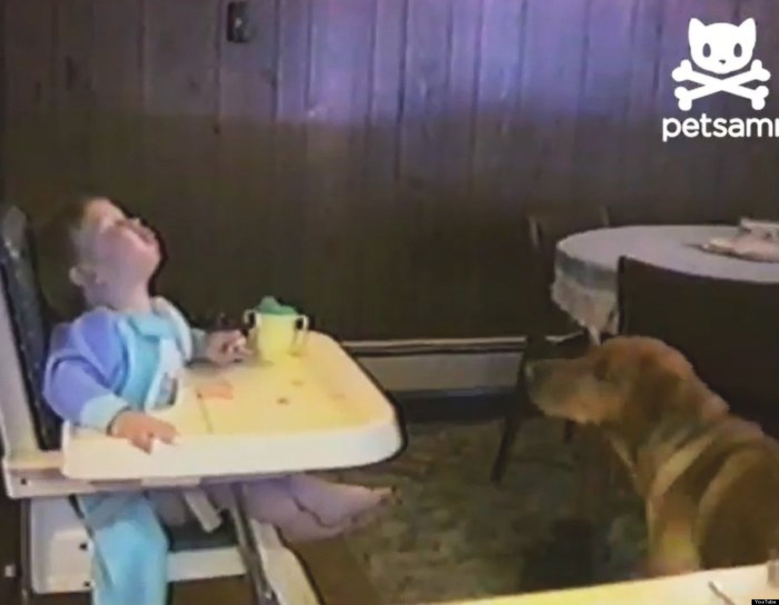 Baby Spits Food Into Dog's Mouth (VIDEO) | HuffPost UK