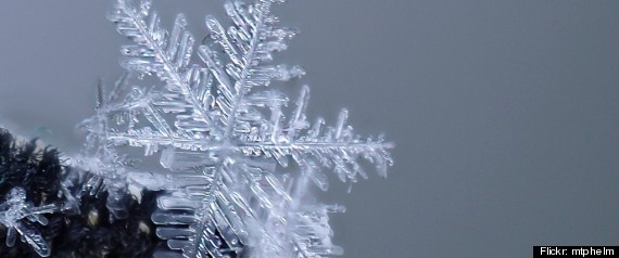 Snow Flake