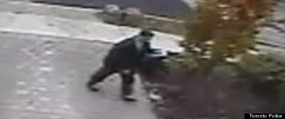 Sexual Assault Toronto