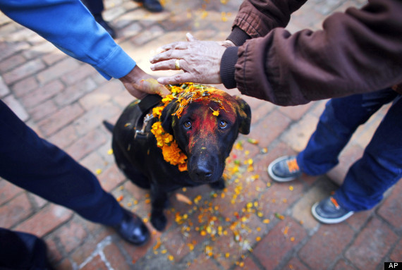 aptopixnepalhindufestival