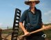 A New Kind Of Amish Is Heading To TV