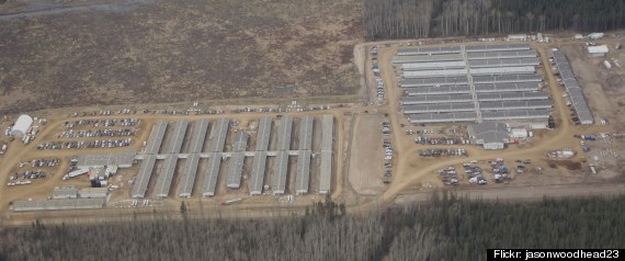 Oilsands Contaminants