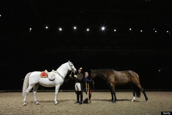 horse show