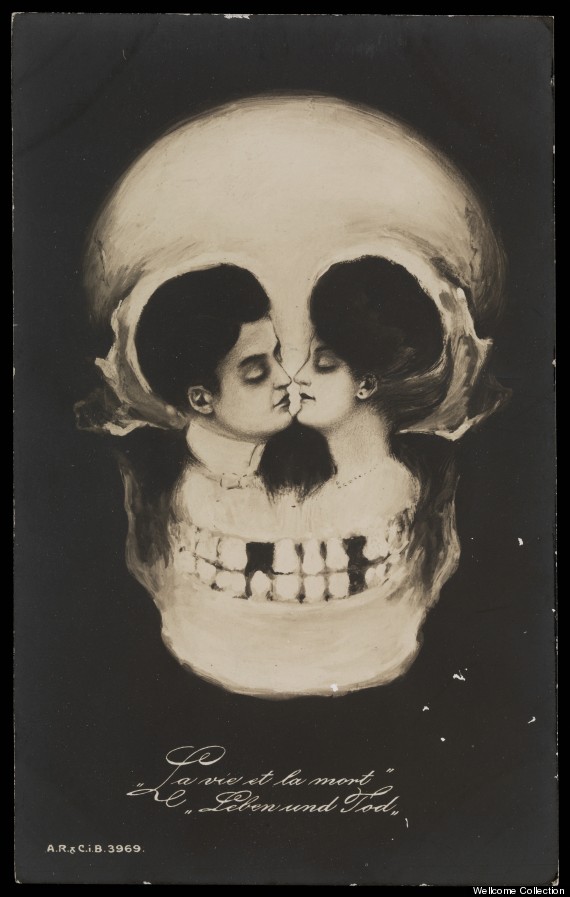 monograph