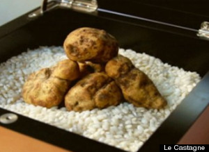 Le Castagne