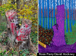 A Sadder Picture: Hockney's Beloved Tree Trunk Ruined By Vandals