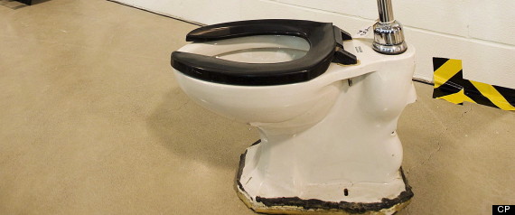 Maple Leafs Toilet