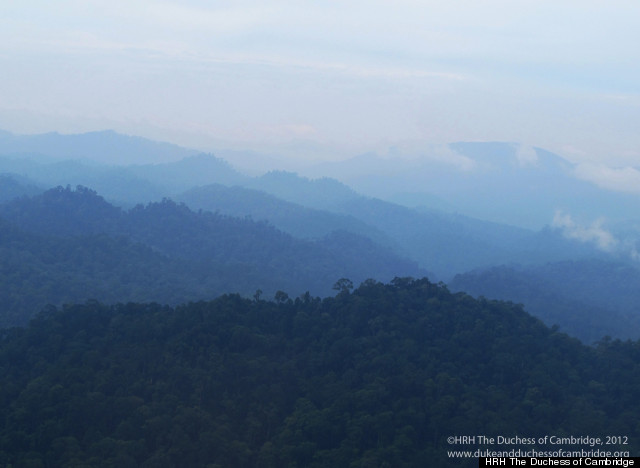 photo borneo