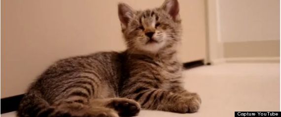 Oskar