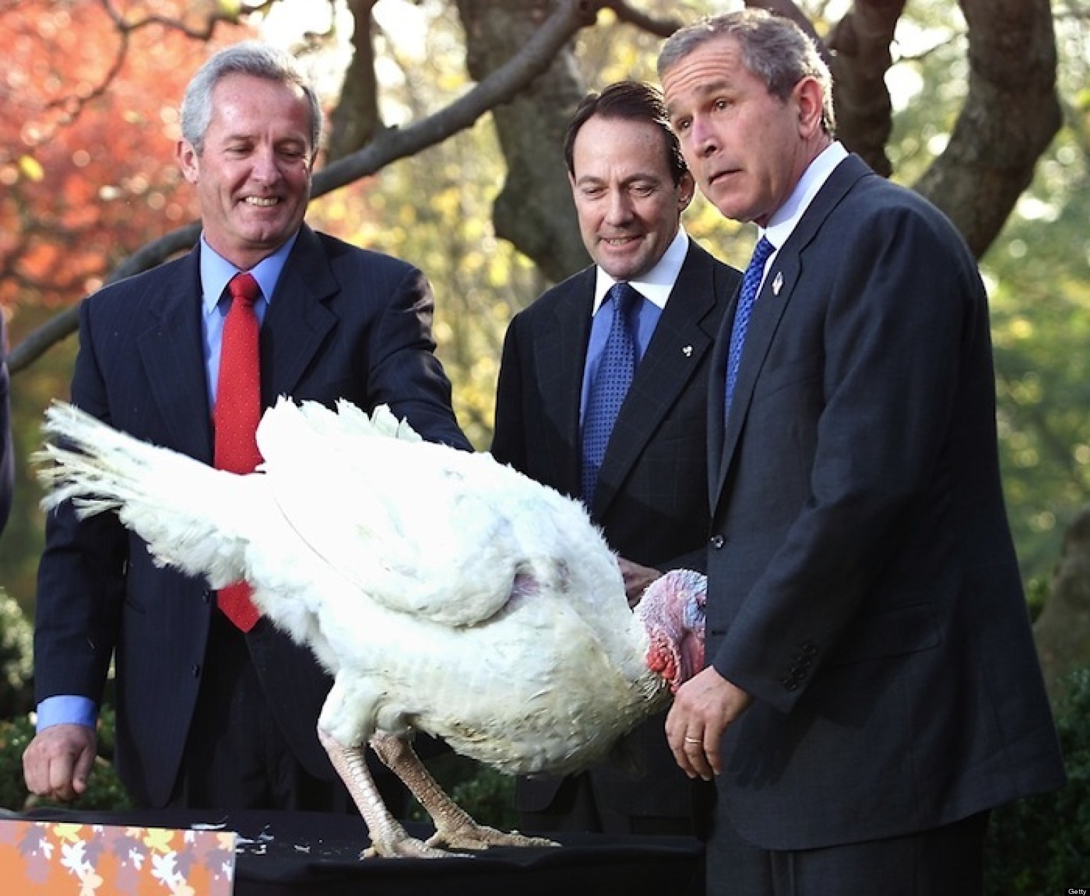 Presidential Turkey Pardon A Look Back At The Thanksgiving Tradition