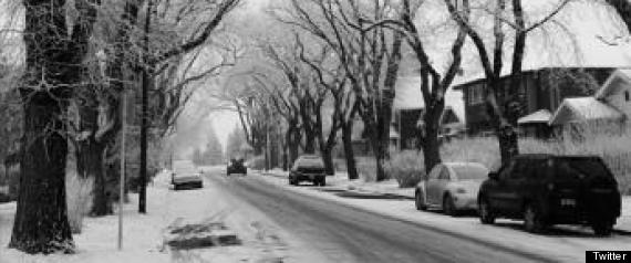 Alberta Snow Storm Freezing Rain