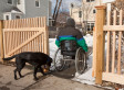 Multiple Sclerosis Treatment Legislation Killed By Conservative Senators