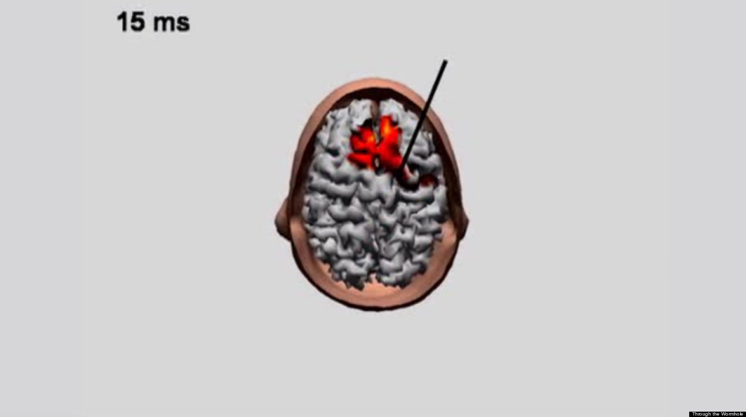 Scientists Discuss What Happens To The 