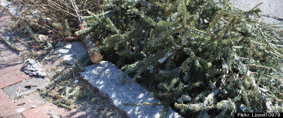 Christmas Tree Truck Crash