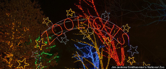 Zoo Lights Phoenix 2012 Discount Tickets