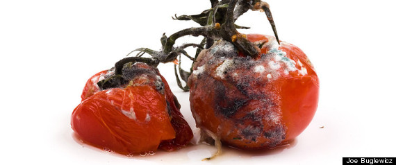 Rotten Joe Buglewicz