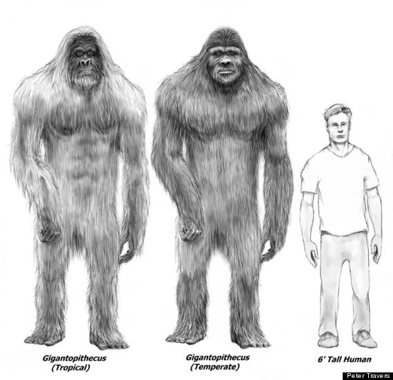 Bigfoot Dna Found 2013