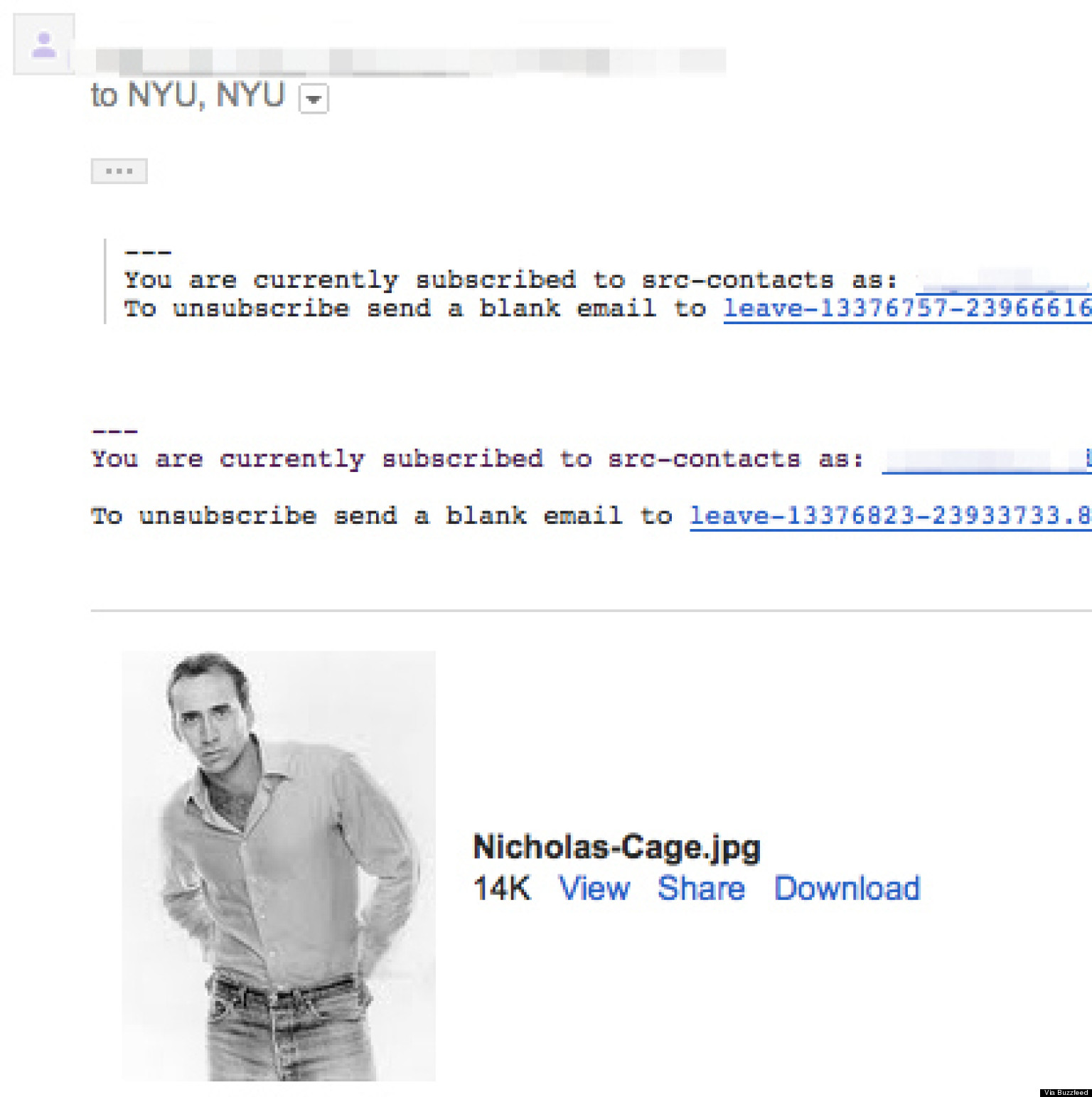 NYU Student Email ReplyAllpocalypse Entire Student Body Bombarded Due