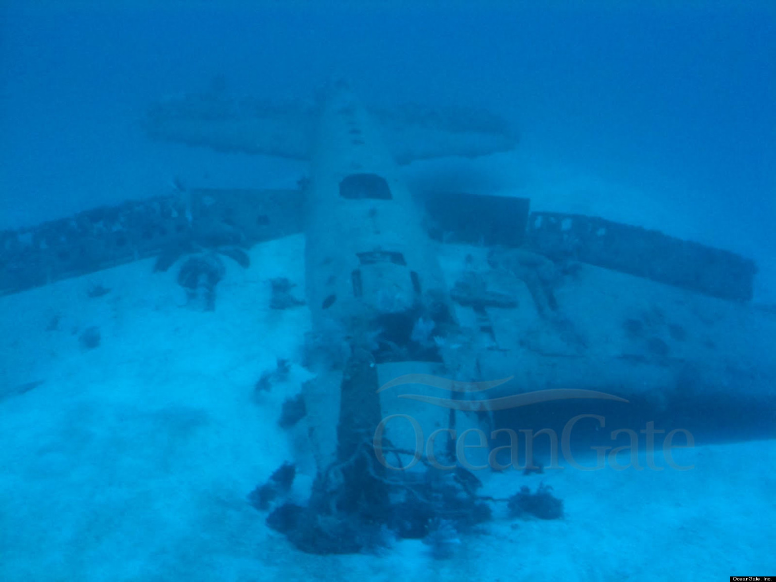 Hellcat Fighter Plane Wreckage Discovered Off Miami Coast (VIDEO, PHOTOS)