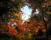 Gorgeous Time-Lapse Of Fall In NYC