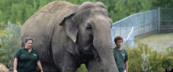 Lucy The Elephant
