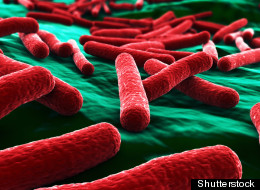 Canadian Scientists Look For Quicker E. Coli, Listeria Tests