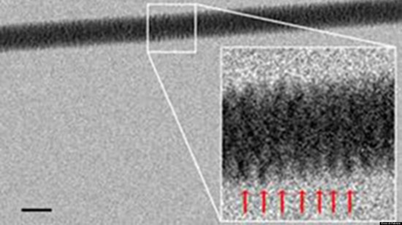 Dna Photographed For The First Time Pictures Huffpost Uk 