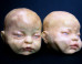 PHOTOS: Creepily Realistic White Chocolate Baby Heads