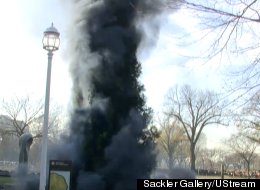 LOOK: Artist's National Mall Pine Tree Explosion Dazzles Crowd