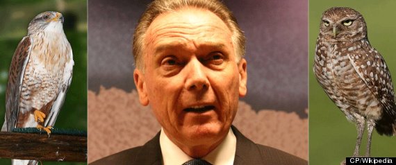 Peter Kent Cenovus