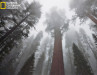 http://link.huffingtonpost.com/4cb49b26b61807701f9f8ae1qz6f.43/ULzWpm-o8JZqcH_oBad61