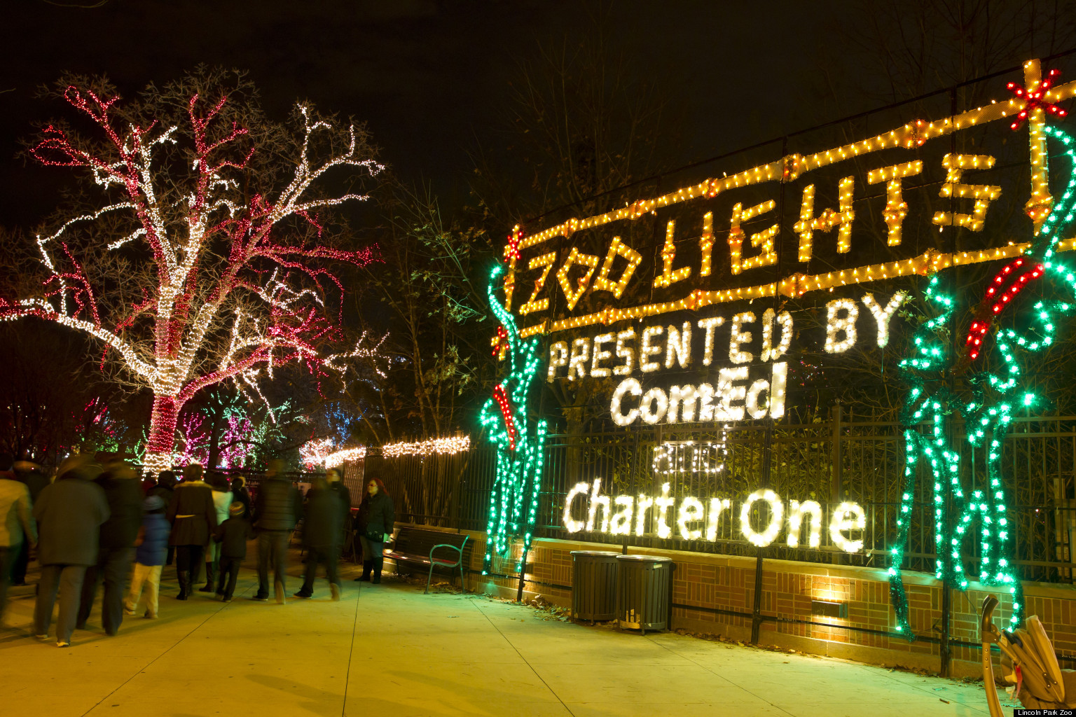 Lincoln Park Zoo Lights Ignite The Holiday Skies (PHOTOS) HuffPost