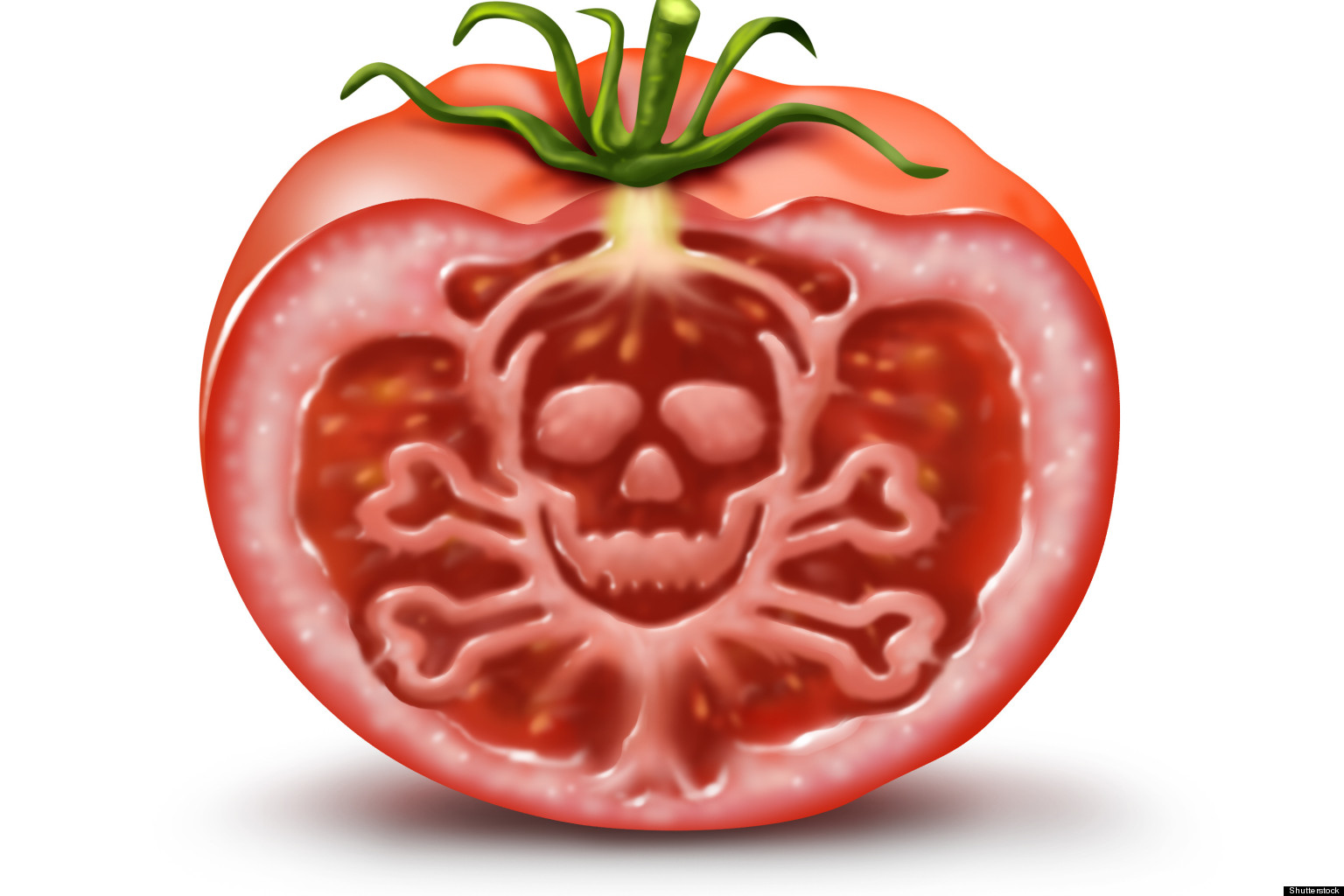 Food Contamination Food Adulteration