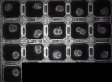 Chances of Miscarriage Revealed By Early Embryo's Odd Behavior (VIDEO)