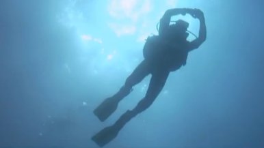 diver in ocean