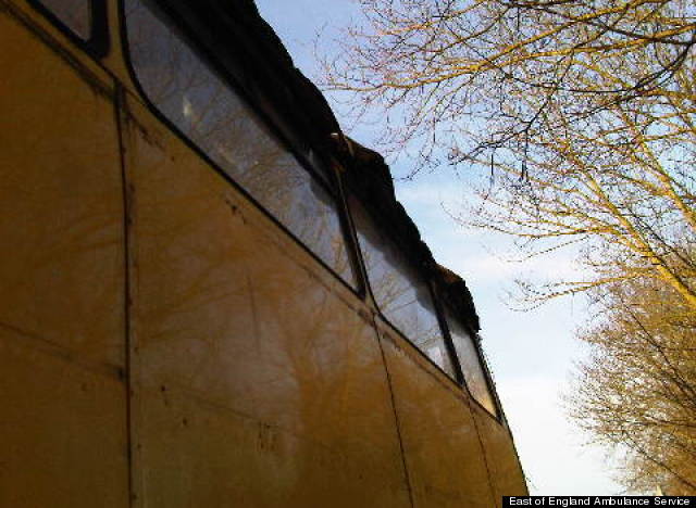 school bus