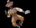 Cecile R. Ganteaume: PHOTOS: Maya Spirit: Entering The Circle Of Dance