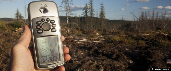 GREENPEACE RESOLUTE LOGGING