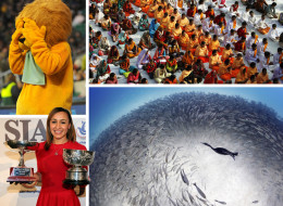 Pictures Of The Day Live: 7th December 2012