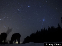 PHOTOS: European Wildlife Photographer Of The Year