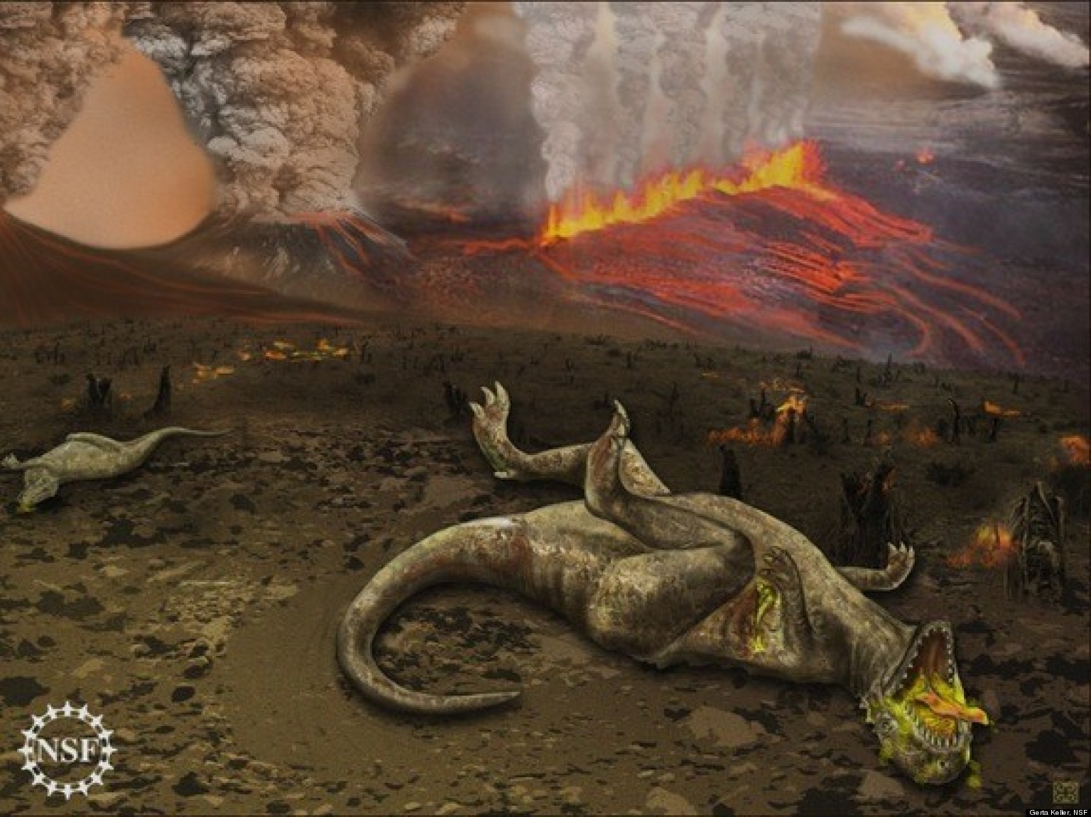 dinosaurs volcanoes killed did meteorite asteroids osaurus theory huffpost