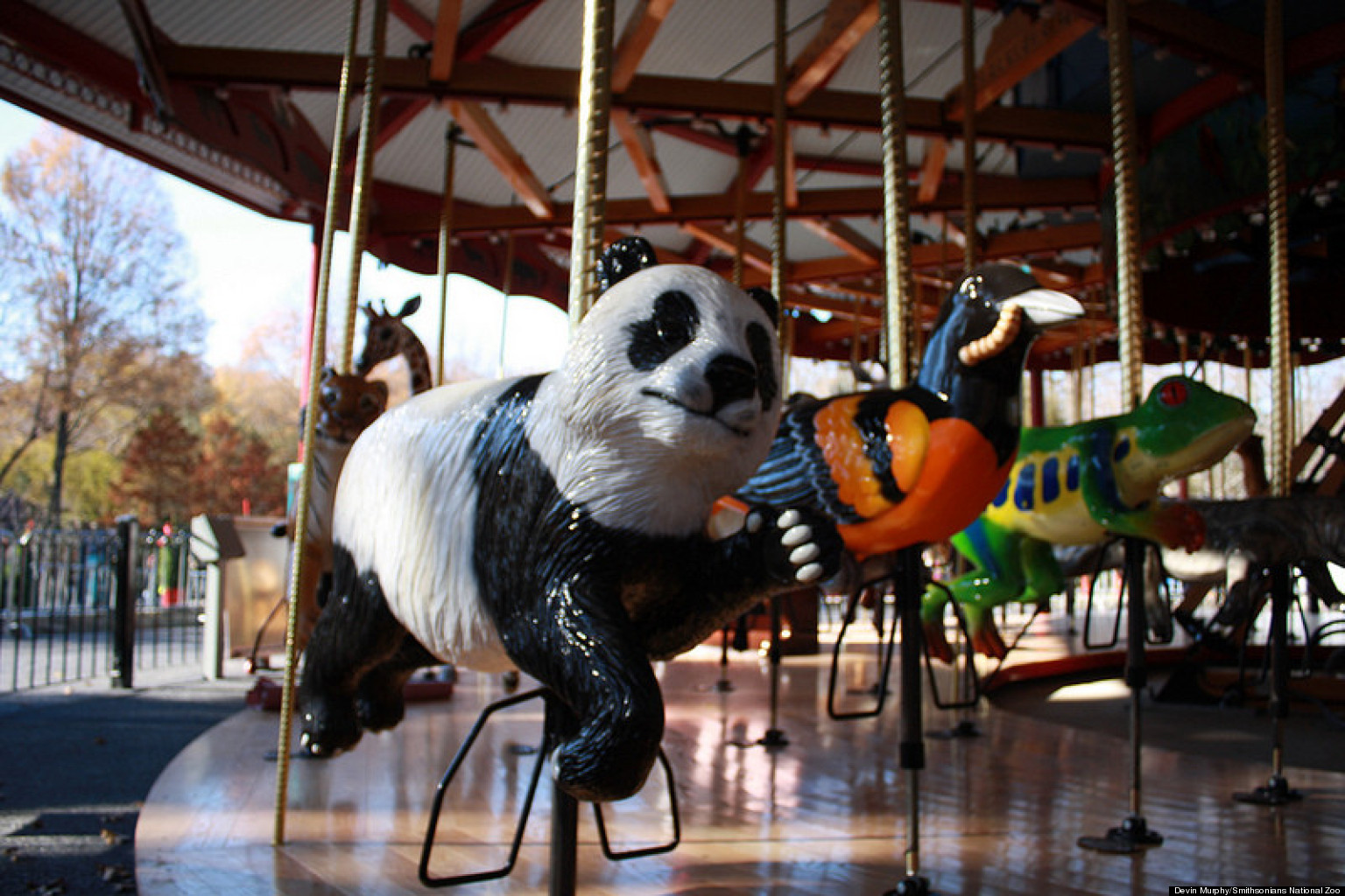 National Zoo�s New SolarPowered Carousel Is Already A Hit