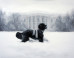 The White House Christmas Card Is Finally Here...