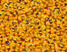 36,000 Rubber Ducks Seized