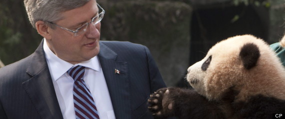 Harper China Nexen