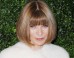 Donald Trump Endorses Anna Wintour Ambassadorship