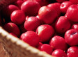 Sugar Plums: What Are They, Anyway?
